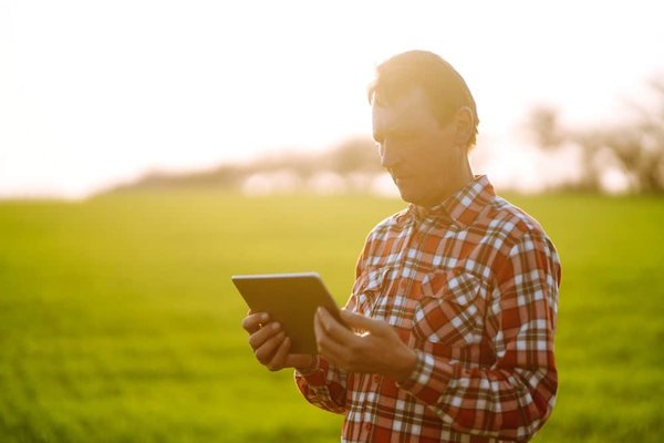 How Can Small UK Publishers Compete with Major Players in the E-Book Market?