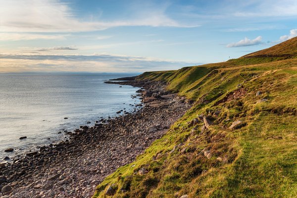 Can you create an Exquisite Champagne Jelly with Fresh Berries as a dessert?
